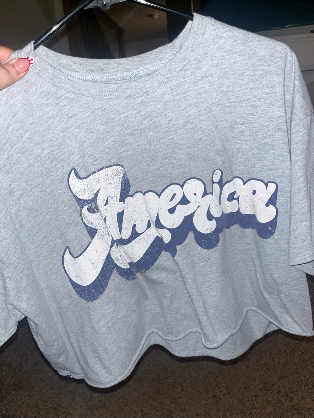 ‘America’ Gray Crop Top